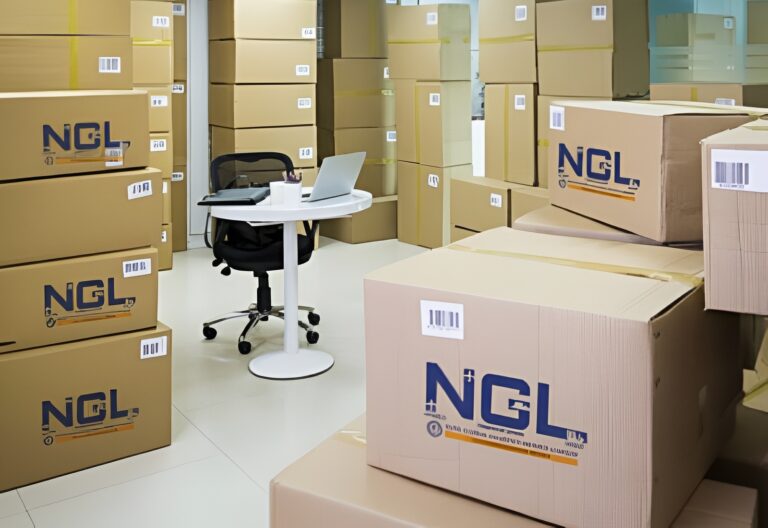 Franchise of Logistics for Exports